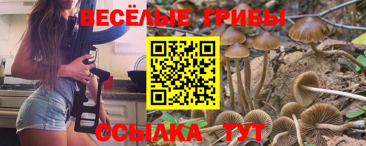 Галлюциногенные грибы Psilocybe  Вход с VPN  Родники  Псилоцибиновые грибы Magic Shrooms 